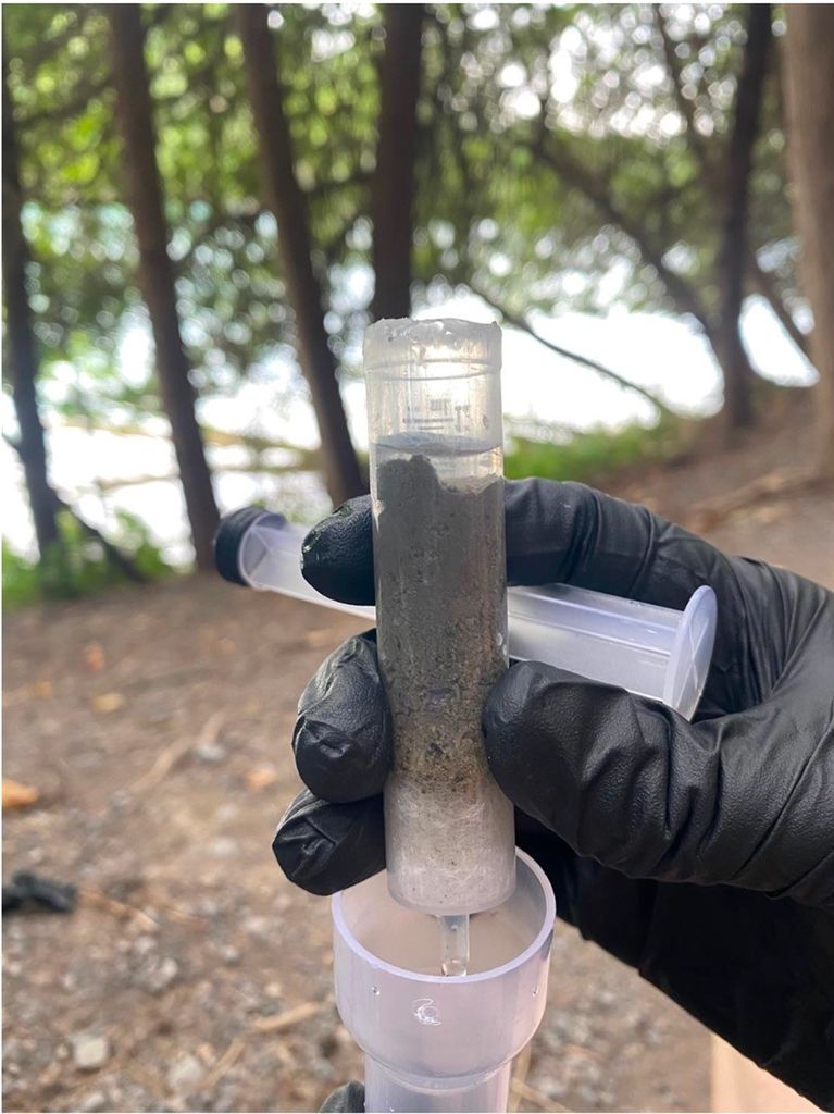 A hand holding a test tube or pipette containing a dark sample. Trees are in the background.